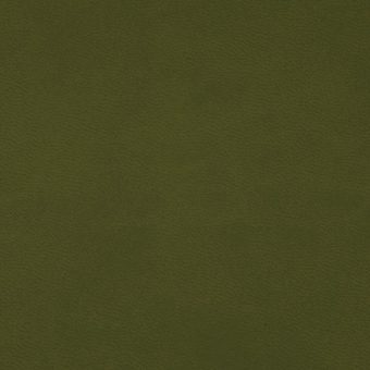 Close up of texture of PU material Winner L41