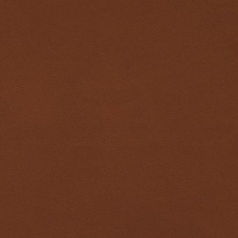 Close up of texture of PU material Winner Q54