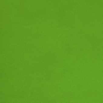 Close up of texture of PU material Winner Q66