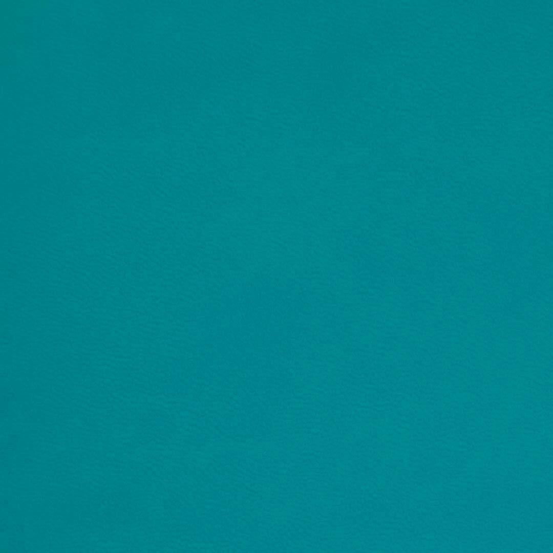 Close up of texture of PU material Winner S47