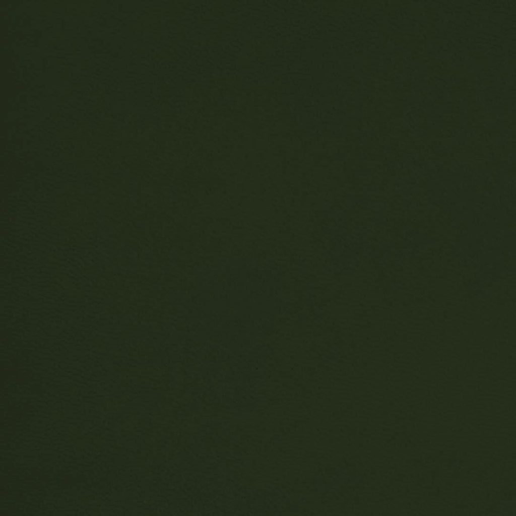 Close up of texture of PU material Winner T19