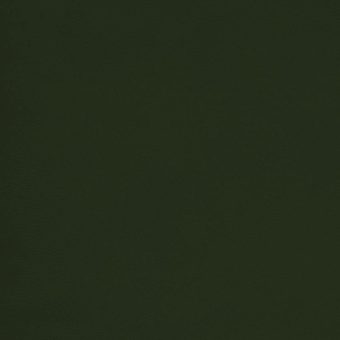 Close up of texture of PU material Winner T19