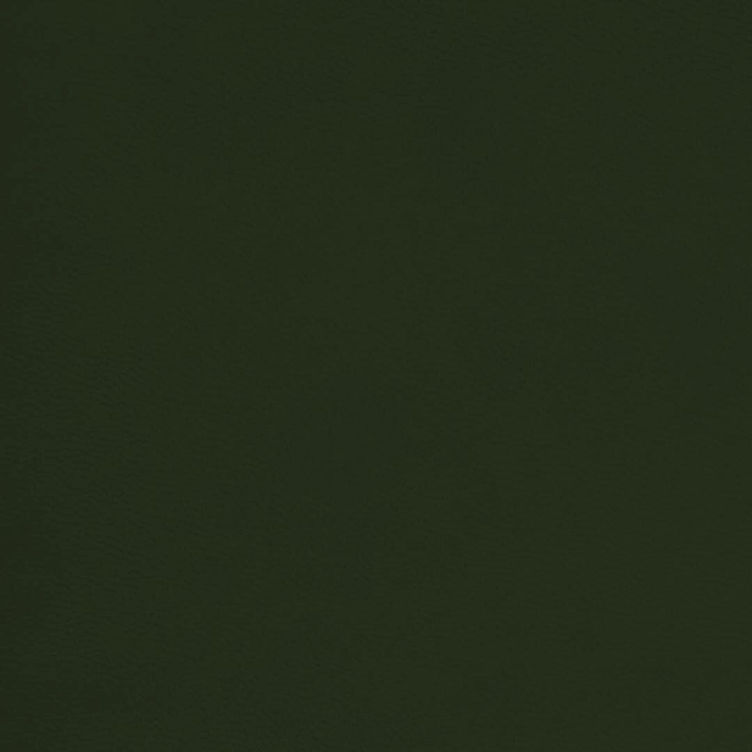 Close up of texture of PU material Winner T19