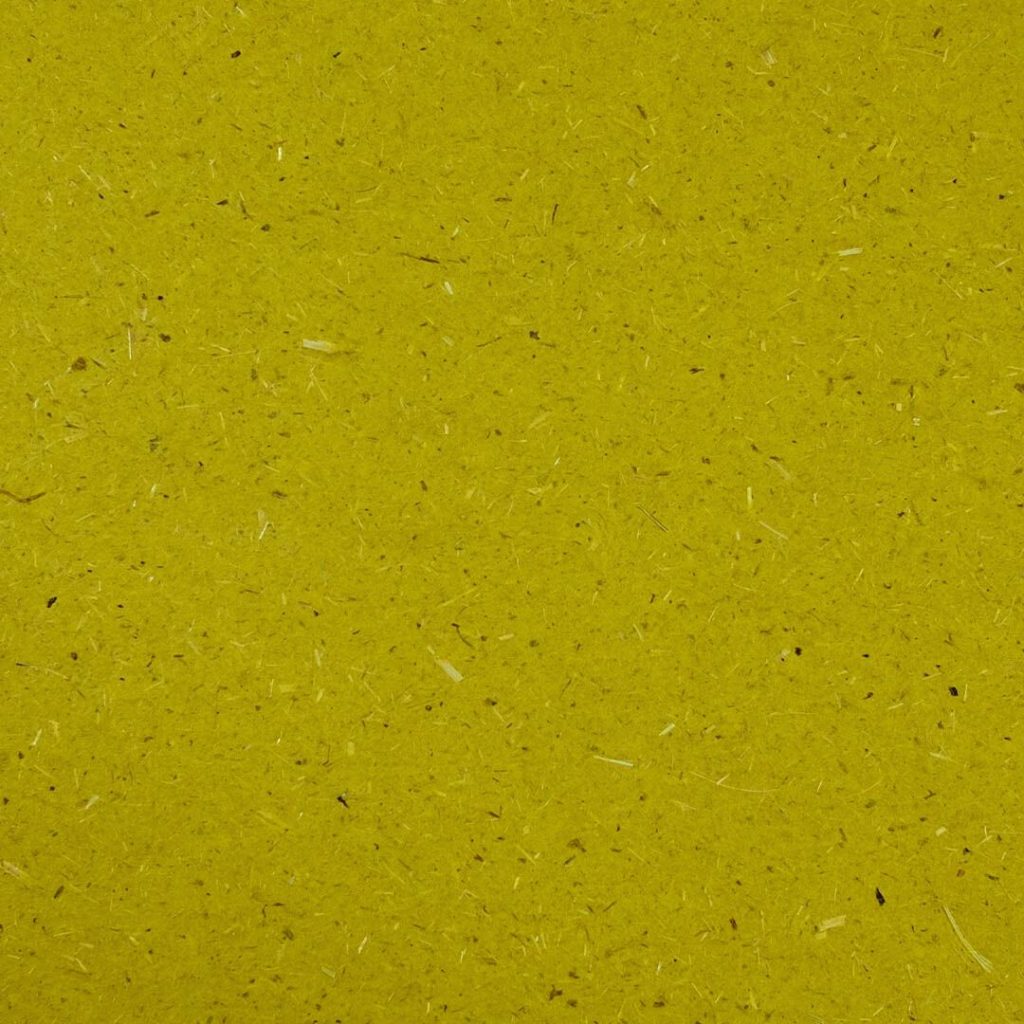 Close up of texture of Bio Cycle Chlorophyll paper.