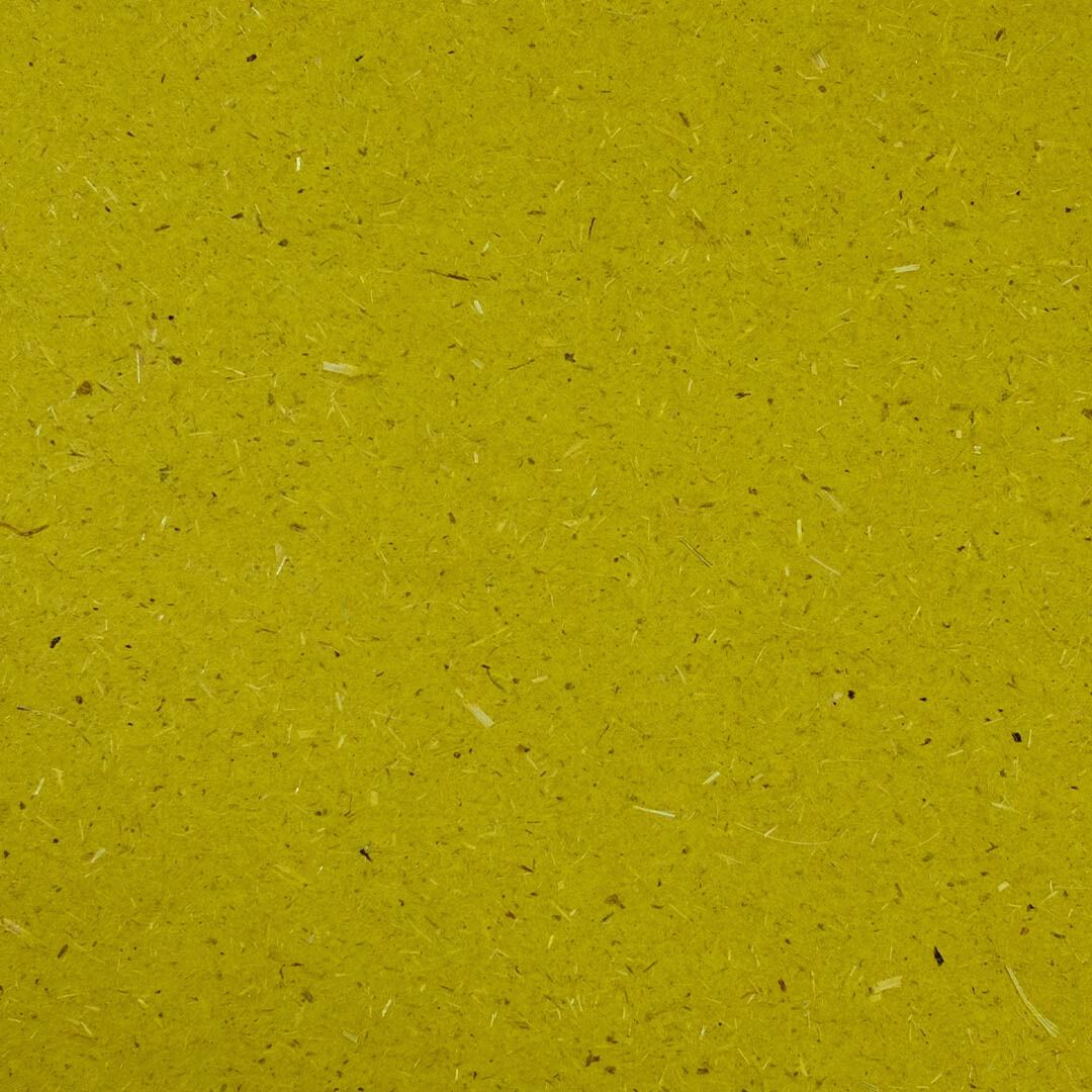 Close up of texture of Bio Cycle Chlorophyll paper.