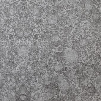 Close up of texture of Black Marble Paper.