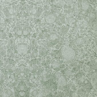 Close up of texture of Green Marble Paper.